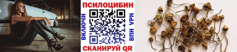 Псилоцибиновые грибы мухоморы  OMG ссылка  Пущино 
